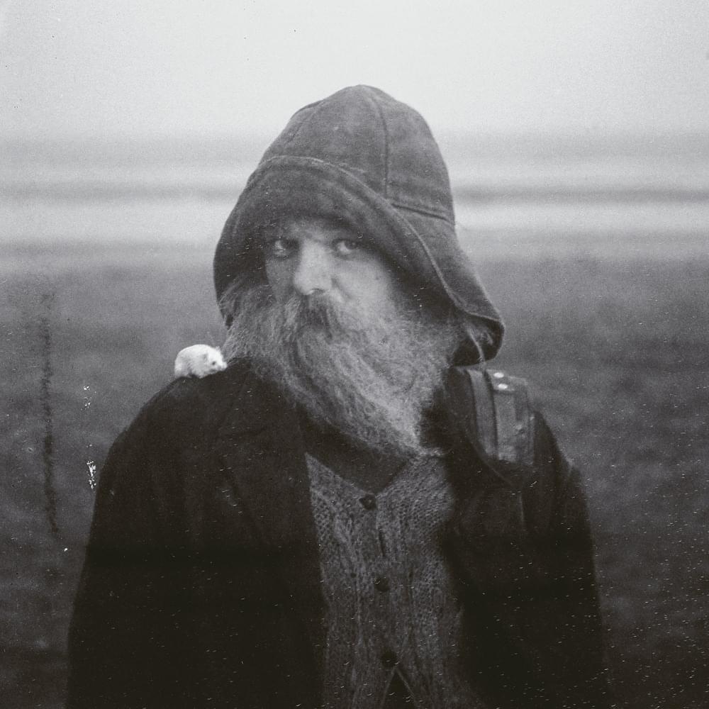 paroles mary in the junkyard Crash Landing