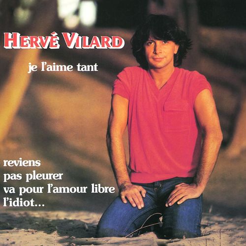 paroles Hervé Vilard Je L'aime Tant