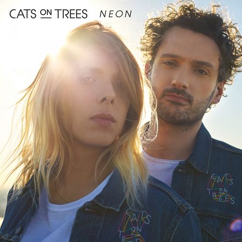 paroles Cats On Trees Birthday