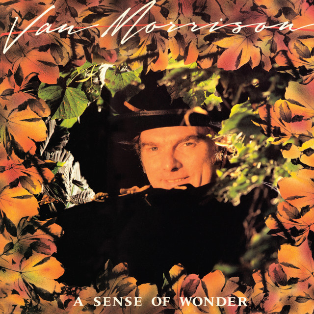 paroles Van Morrison A Sense of Wonder