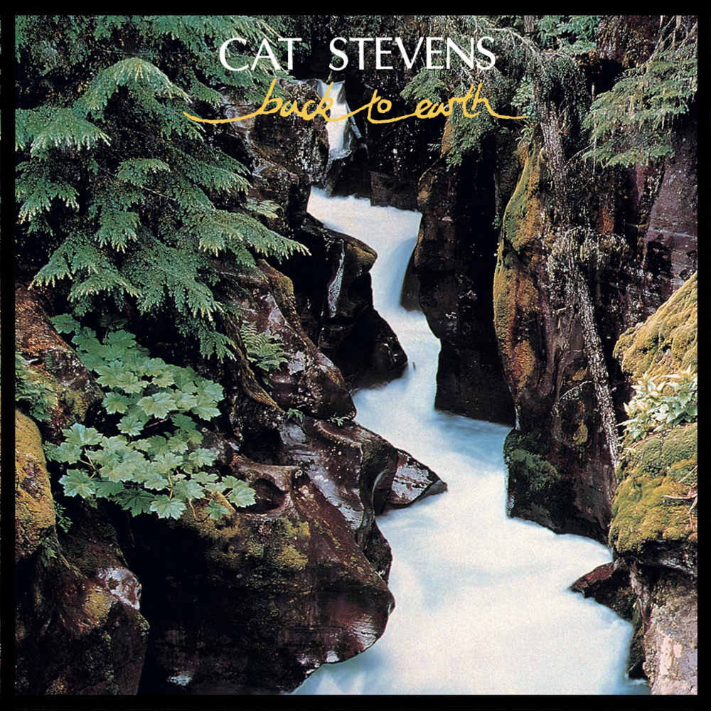 paroles Cat Stevens The Artist