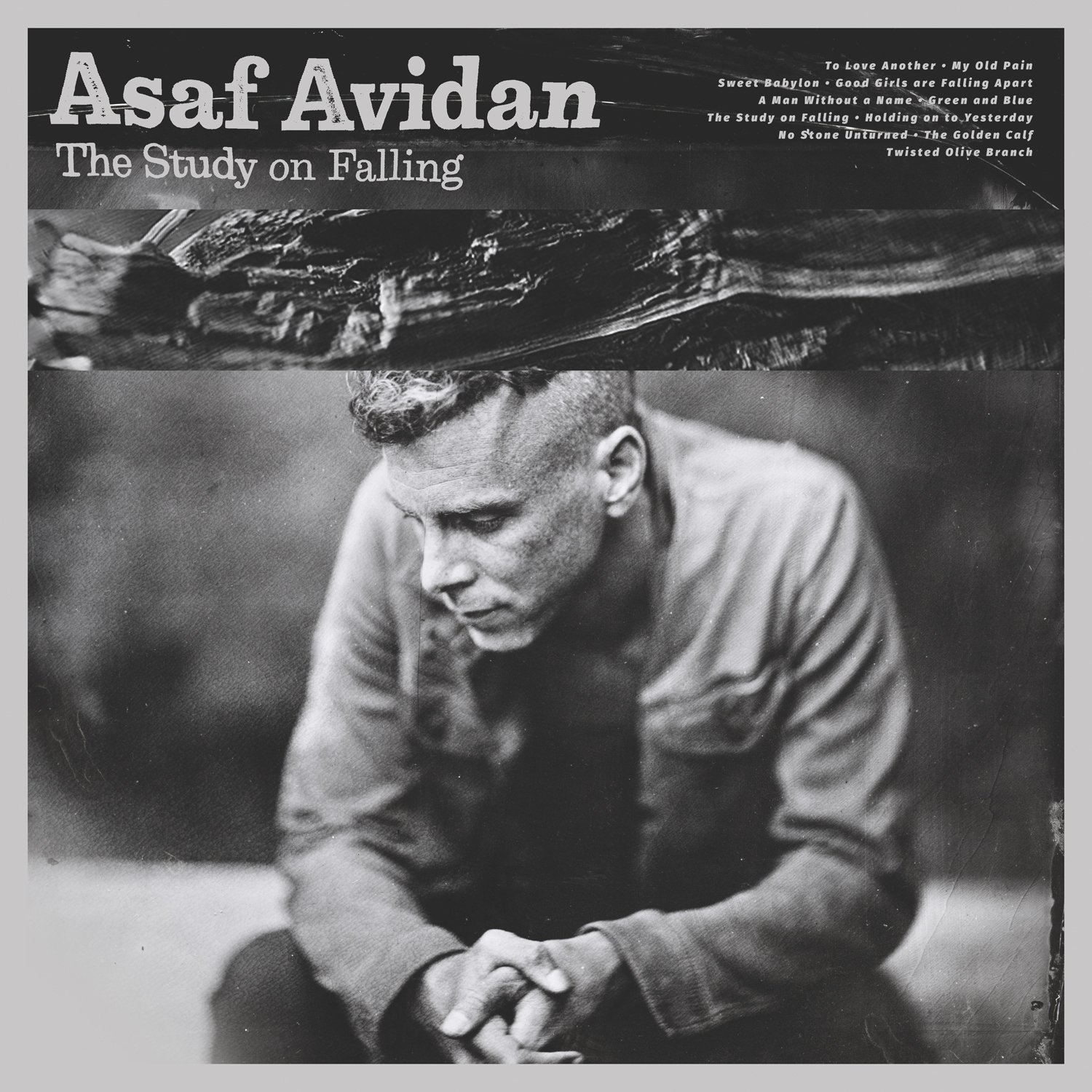 paroles Asaf Avidan The Study on Falling