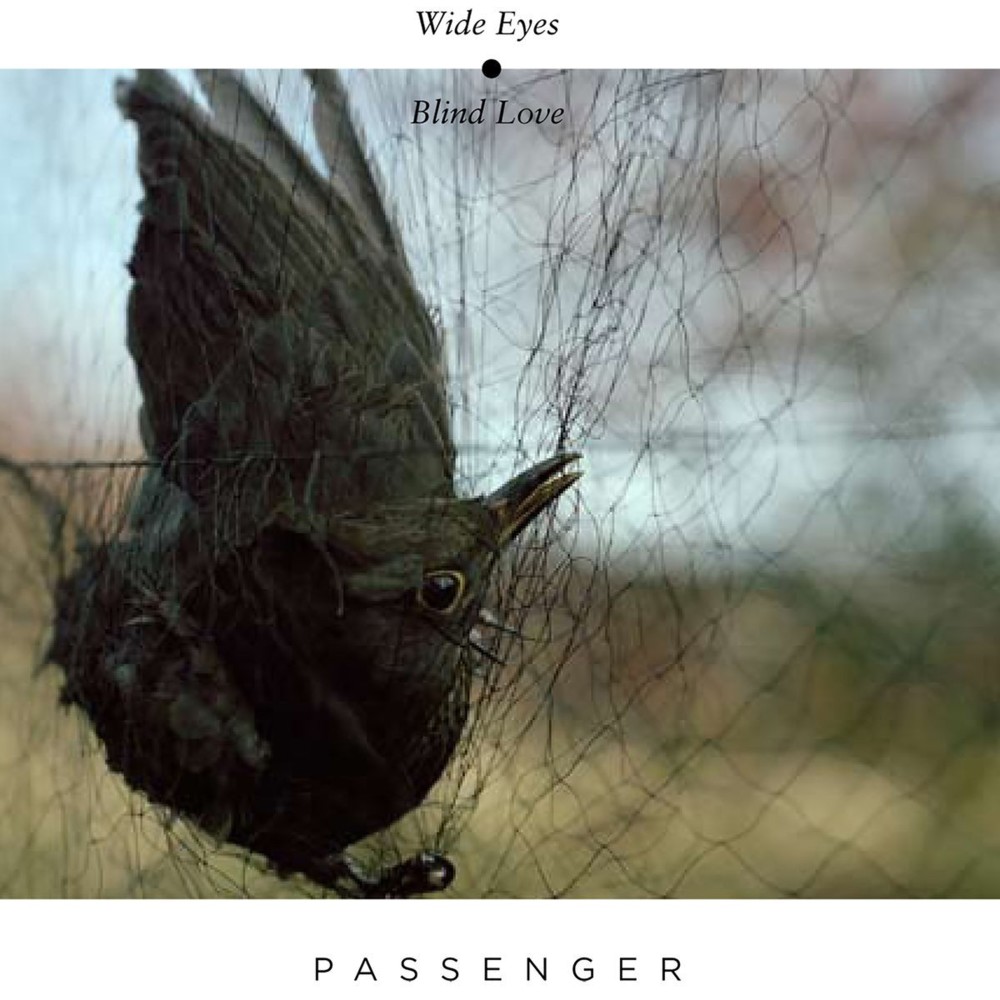 paroles Passenger Starlings