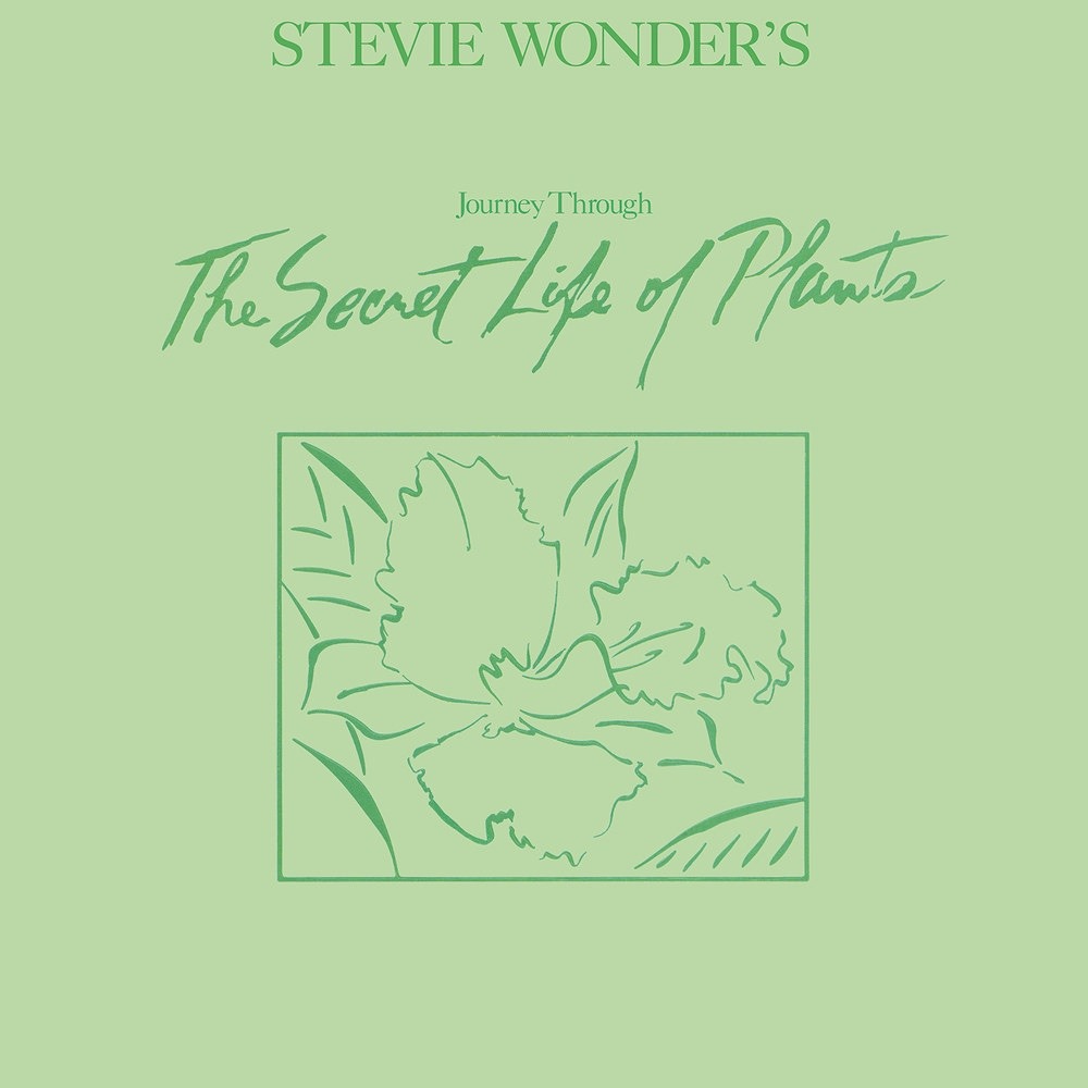 paroles Stevie Wonder Venus' Flytrap And The Bug