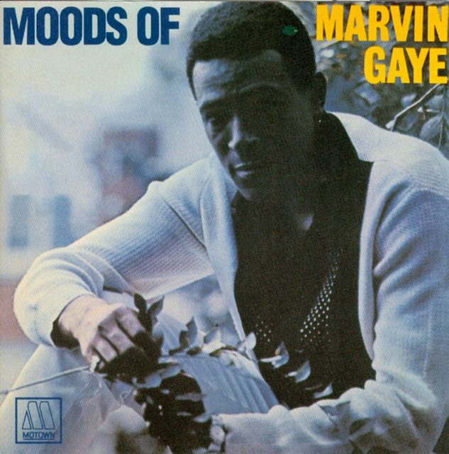 paroles Marvin Gaye Night Life