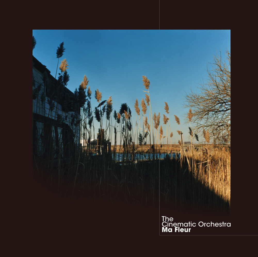 paroles The Cinematic Orchestra