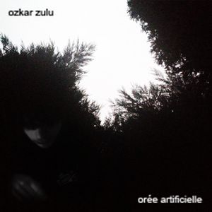 paroles Ozkar Orée artificielle