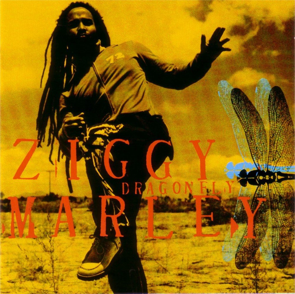 paroles Ziggy Marley Looking