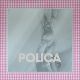 paroles Poliça Steady