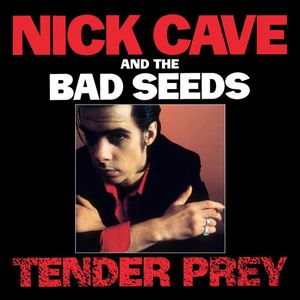 paroles Nick Cave & The Bad Seeds Up Jumped The Devil