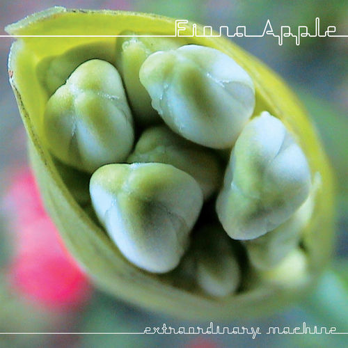 paroles Fiona Apple Extraordinary Machine