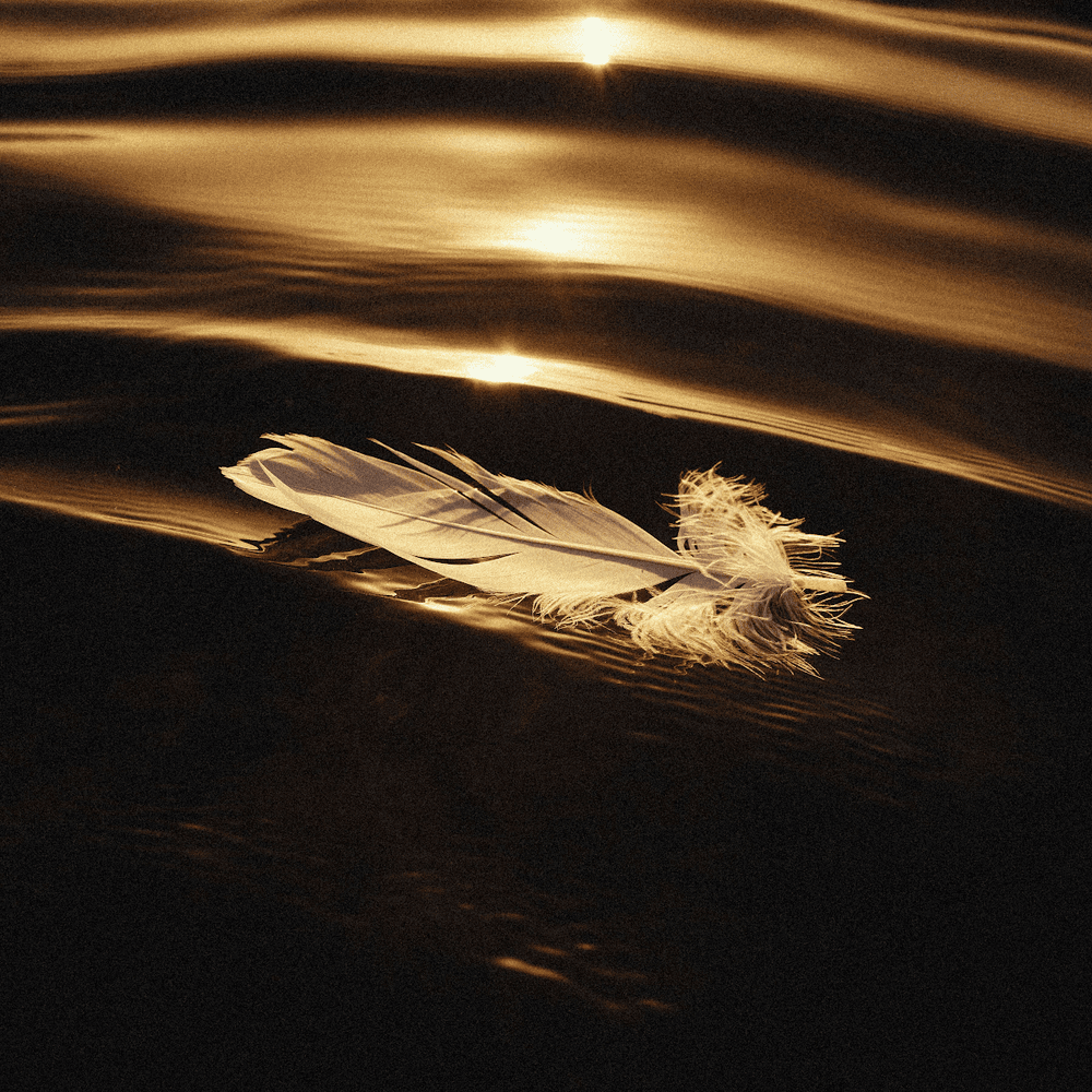 paroles Said The Sky