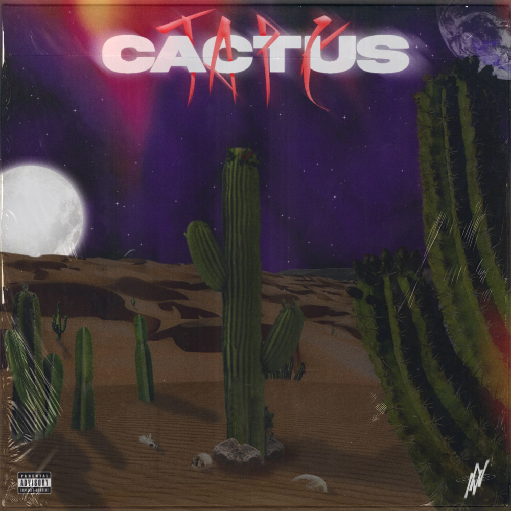 paroles Yaw Angelo CACTUS TAPE