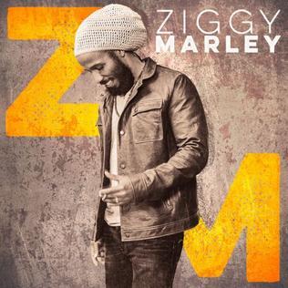 paroles Ziggy Marley Stir It Up