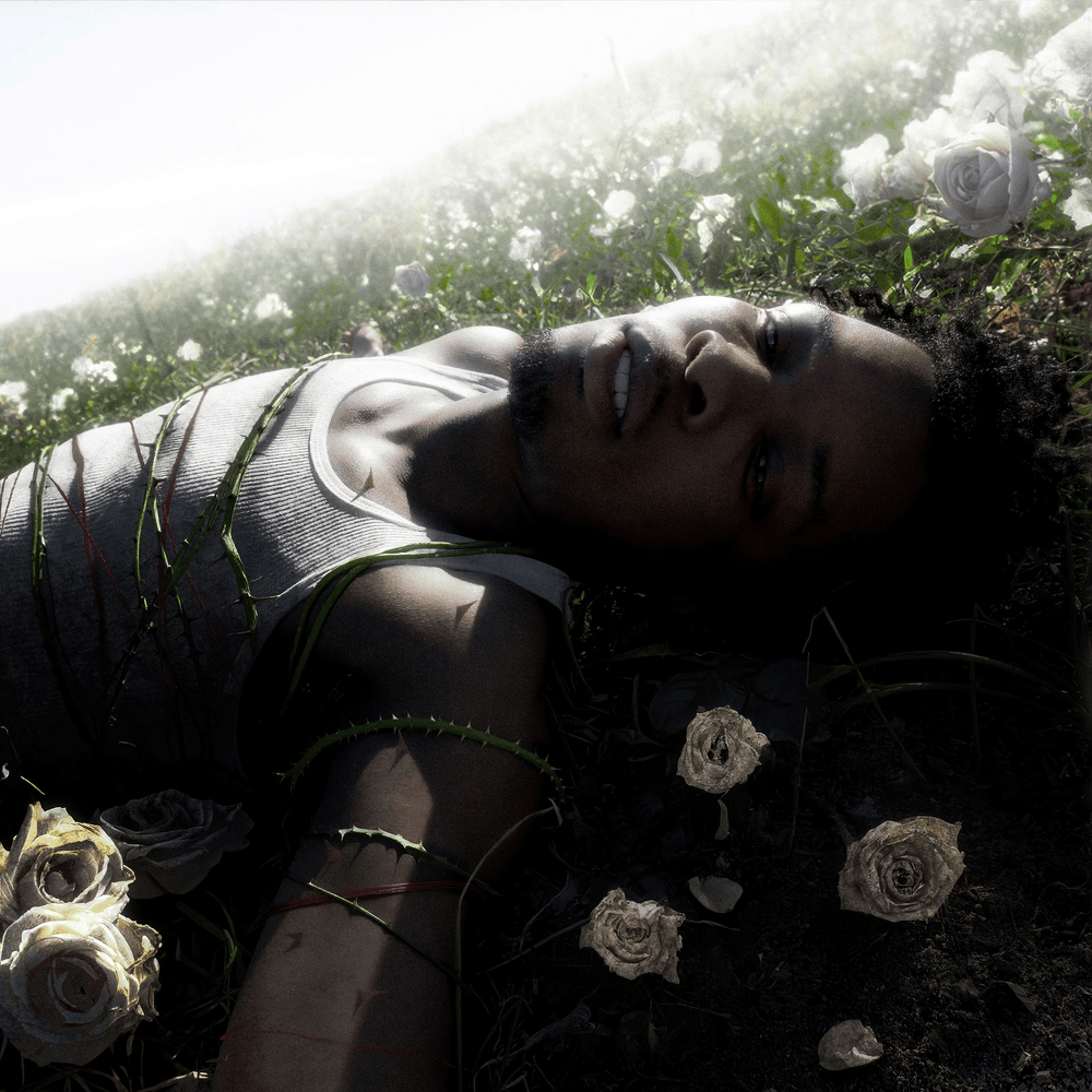 paroles D4vd WITHERED (BandLab Extended Edition)