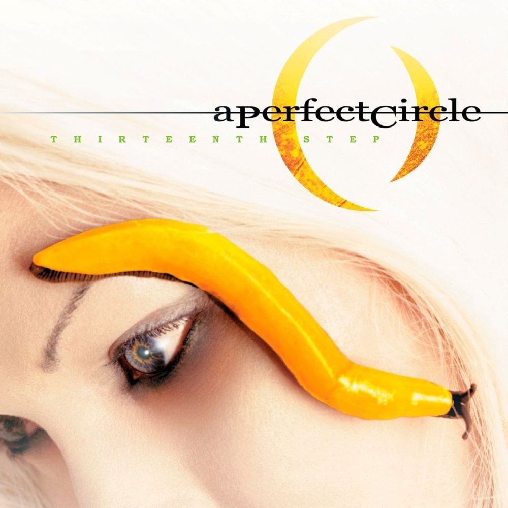 paroles A Perfect Circle Pet