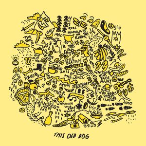 paroles Mac DeMarco This Old Dog