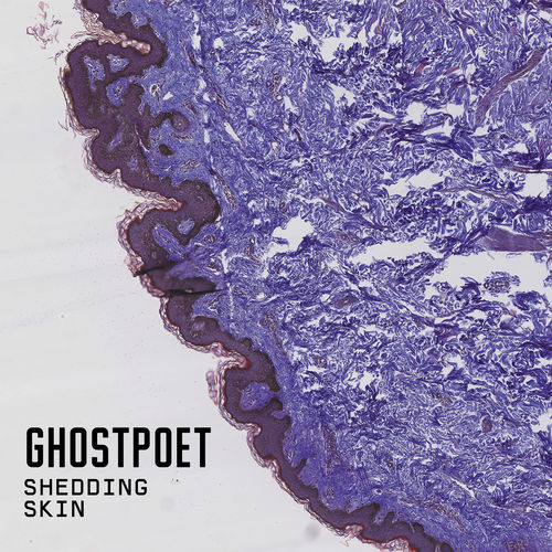 paroles Ghostpoet Shedding Skin