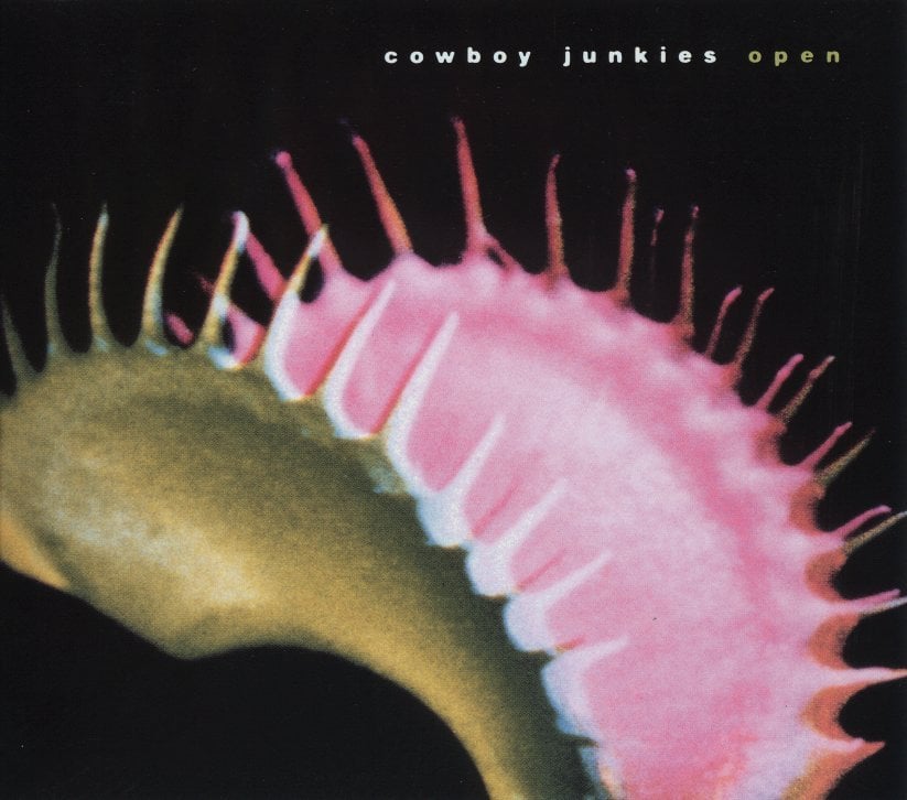 paroles Cowboy Junkies Open