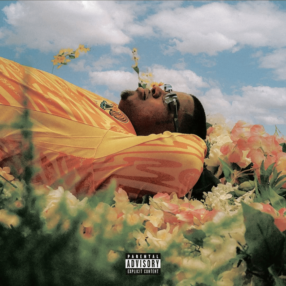 paroles Icewear Vezzo Money Feen