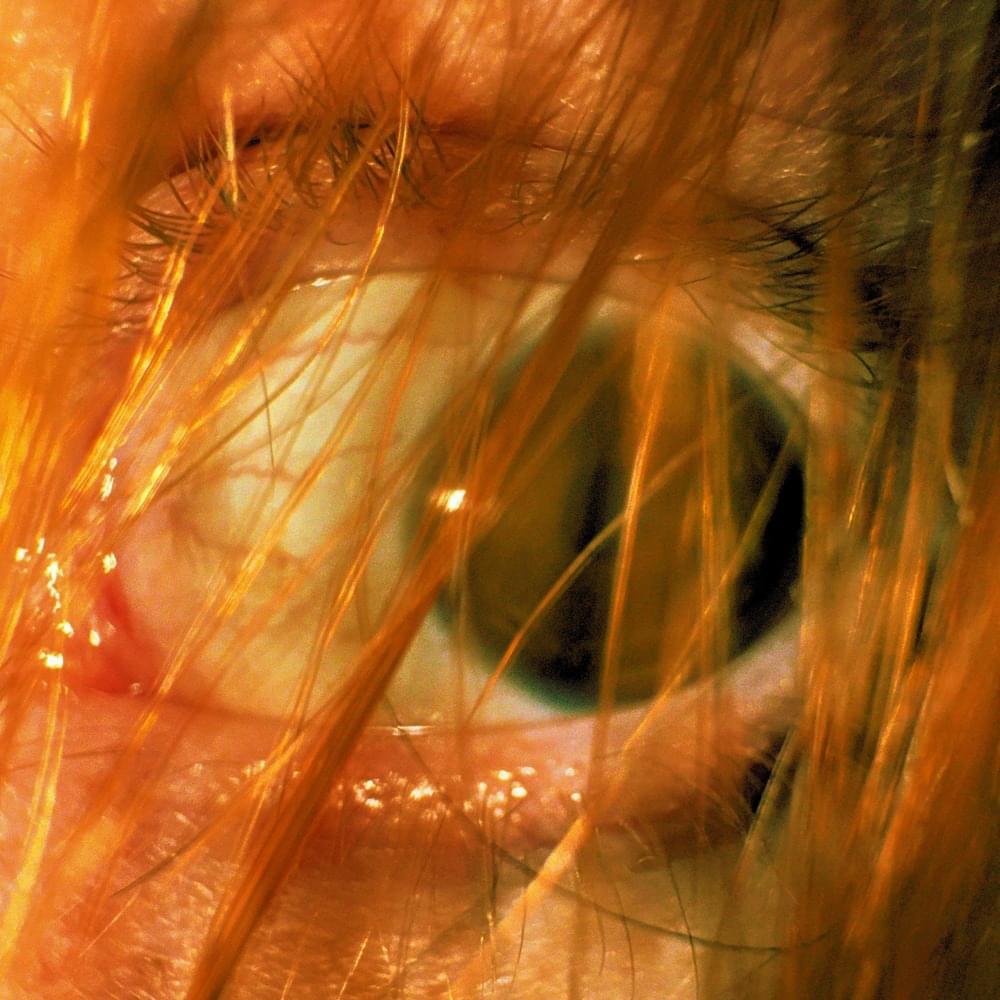 paroles Wasting shit