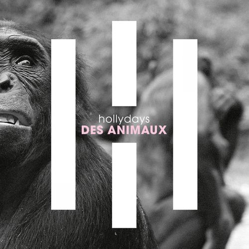 paroles Hollydays Des animaux