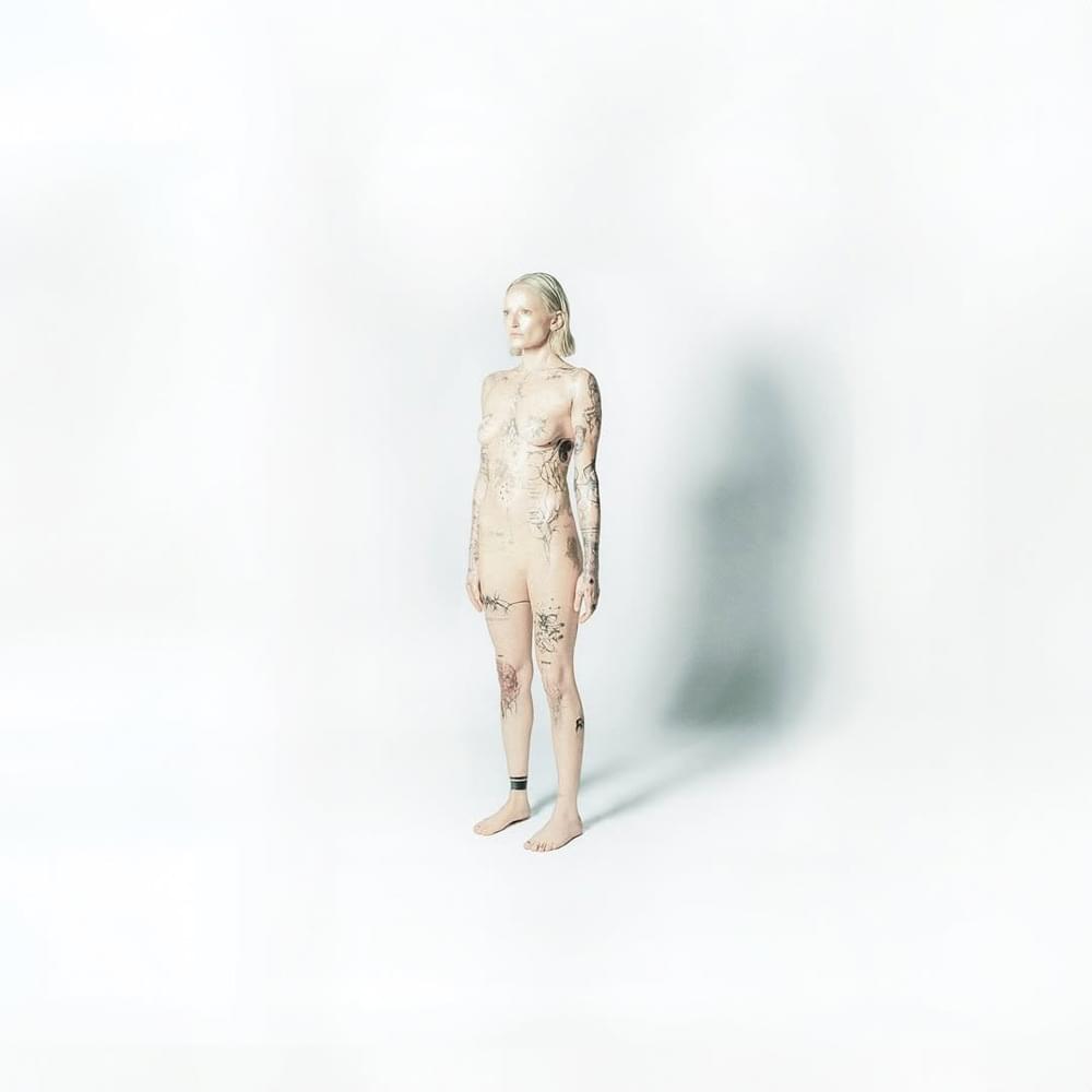 paroles Royal & The Serpent Pulling Teeth