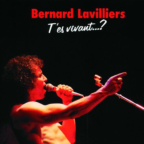 paroles Bernard Lavilliers Capoeira