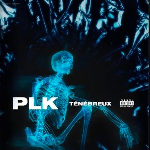 paroles PLK Ténébreux