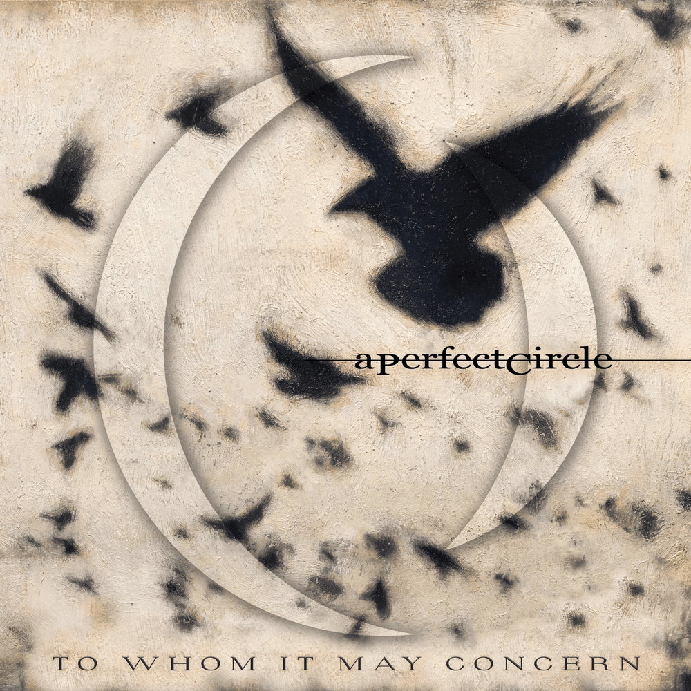 paroles A Perfect Circle To Whom It May Concern