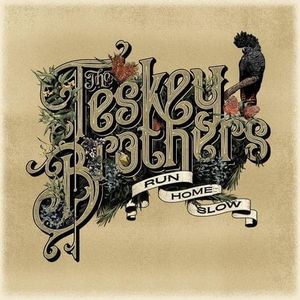 paroles The Teskey Brothers Rain