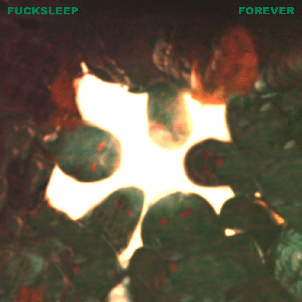 paroles Sierra Kidd FUCKSLEEP FOREVER