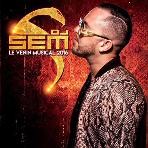 paroles DJ Sem Le venin musical 2016