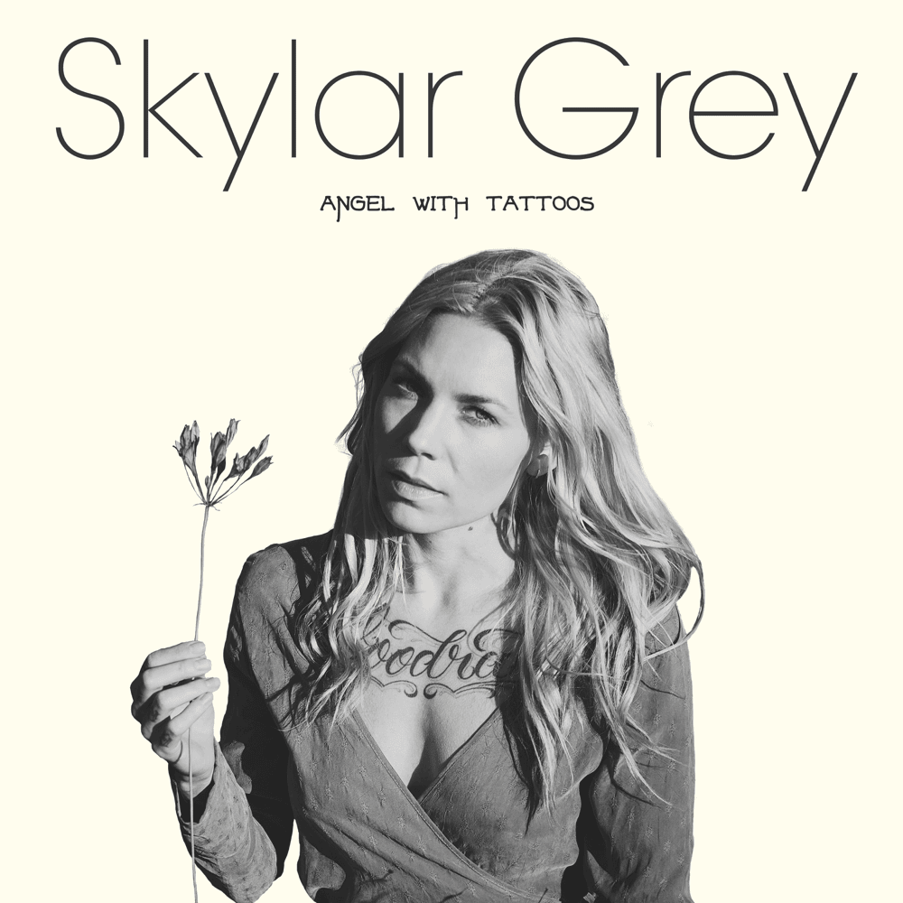 paroles Skylar Grey
