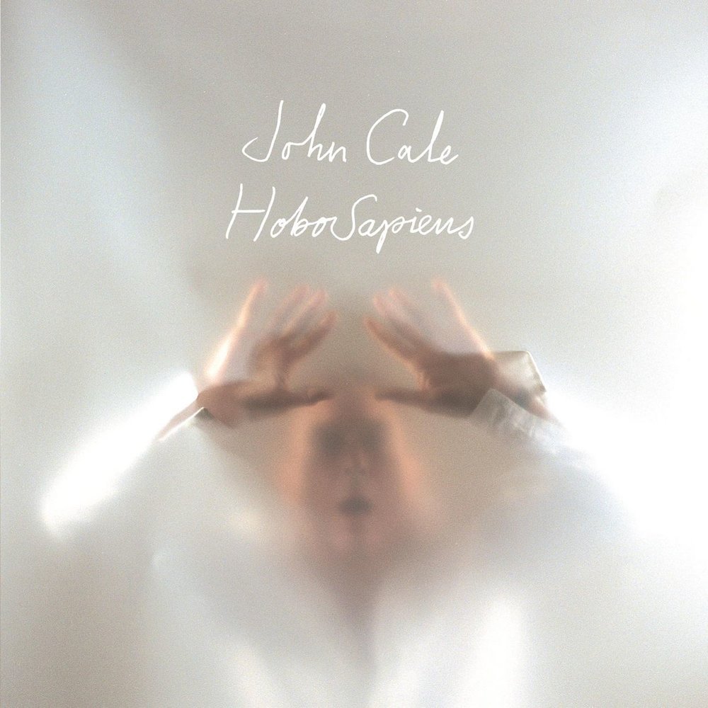 paroles John Cale HoboSapiens