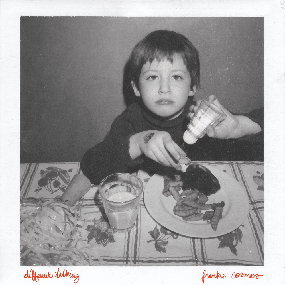 paroles Frankie Cosmos