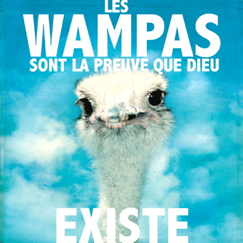 paroles Les Wampas Il N'y A Que Les Lâches Qui Freinent