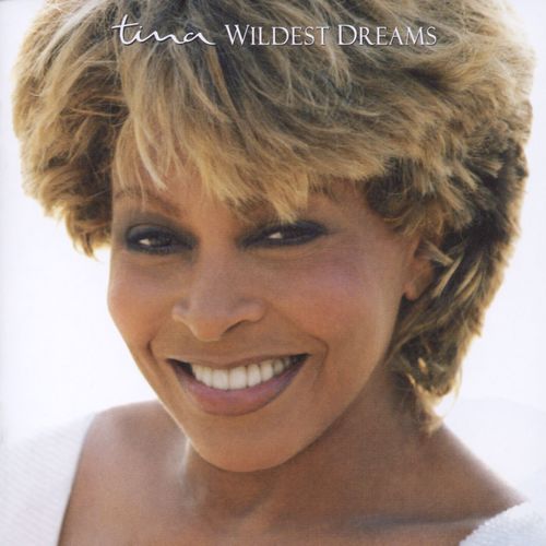 paroles Tina Turner Wildest Dreams