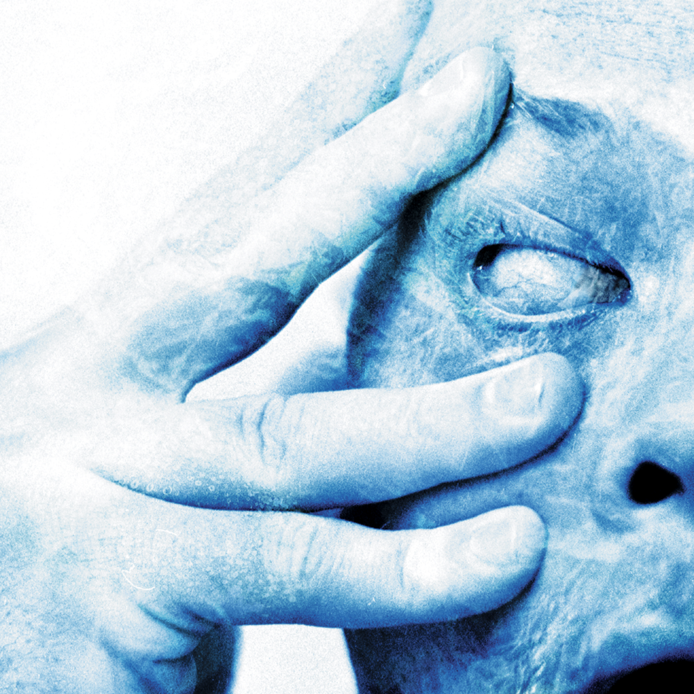 paroles Porcupine Tree Chloroform