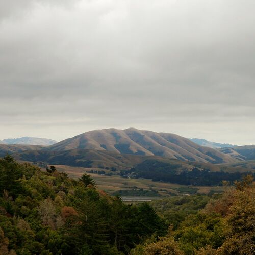 paroles Dirty Projectors Sharing Orb