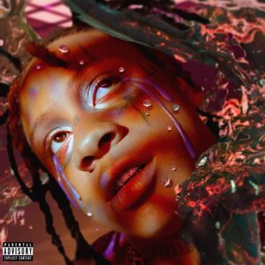 paroles Trippie Redd The Jungle Book