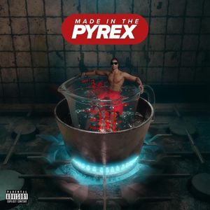 paroles Digga D Made In The Pyrex