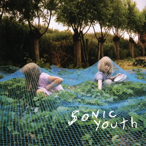 paroles Sonic Youth Murray Street