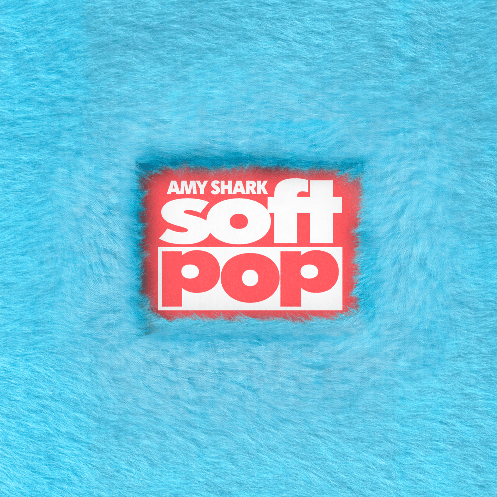 paroles Amy Shark