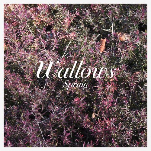 paroles Wallows 1980s Horror Film