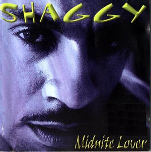 paroles Shaggy Midnite Lover