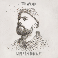 paroles Tom Walker Now You're Gone