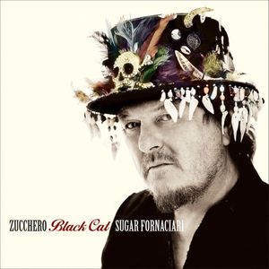 paroles Zucchero Black Cat