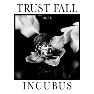 paroles Incubus Trust Fall (Side B)