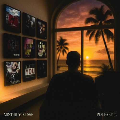 paroles Mister You PLS